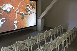 Prague Design Week 2018